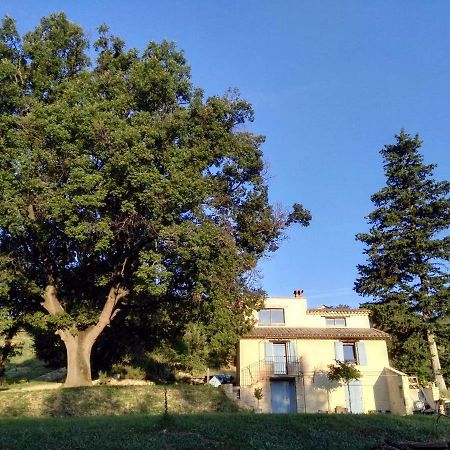 Maison D'Hotes Du Grand Chene วาล็องโซล ภายนอก รูปภาพ