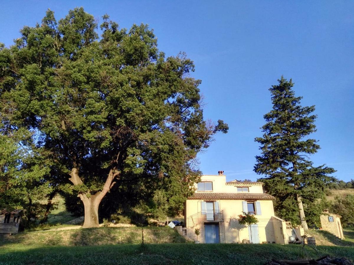 Maison D'Hotes Du Grand Chene วาล็องโซล ภายนอก รูปภาพ