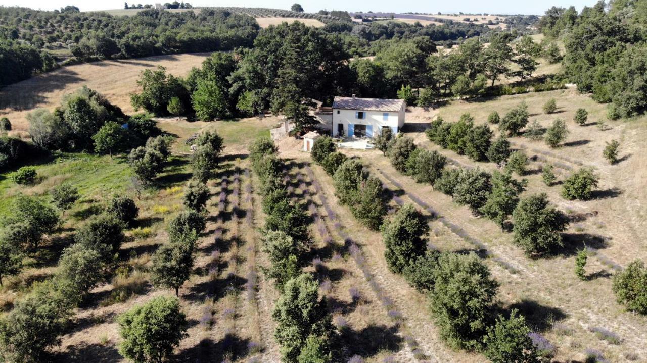 Maison D'Hotes Du Grand Chene วาล็องโซล ภายนอก รูปภาพ